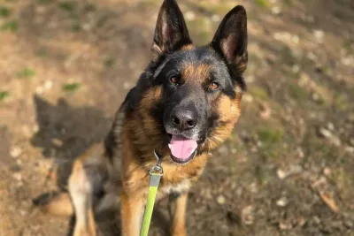 Roki