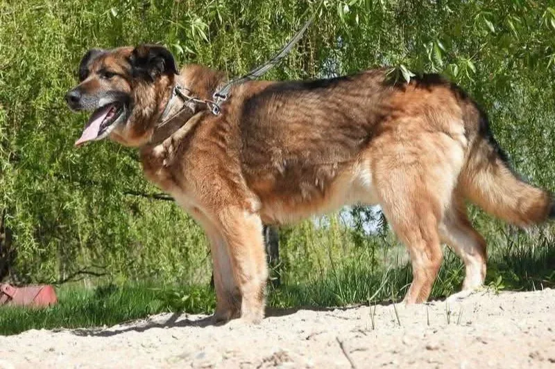 Zbyszek