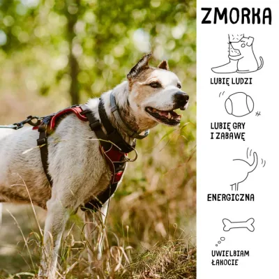 Zmorka