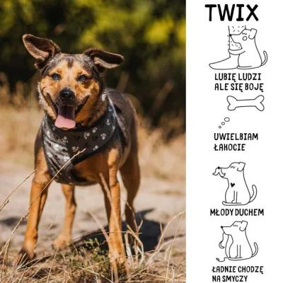 Twix