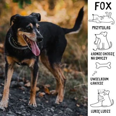 Fox