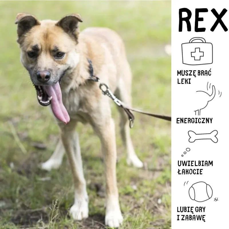 Rex