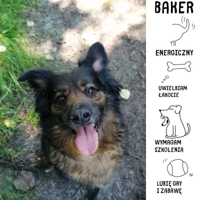 Baker