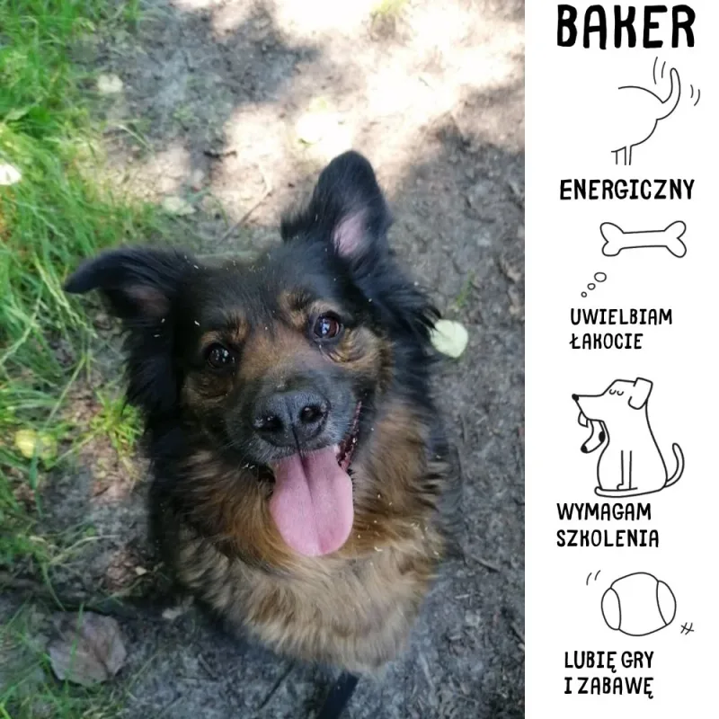 Baker
