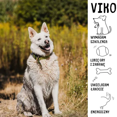 Viko