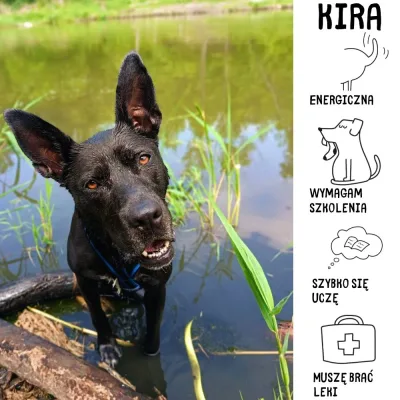 Kira