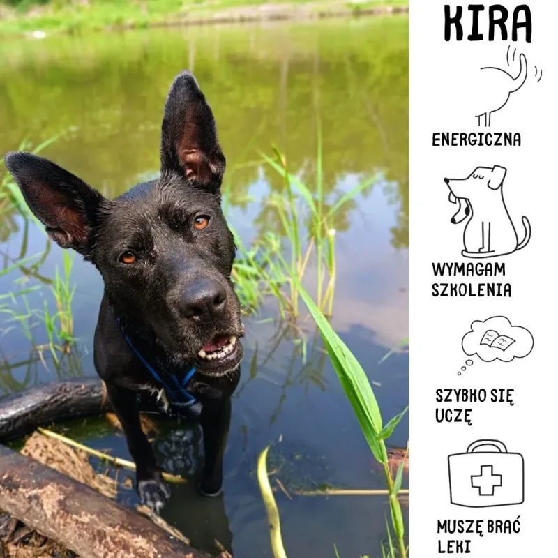 Kira
