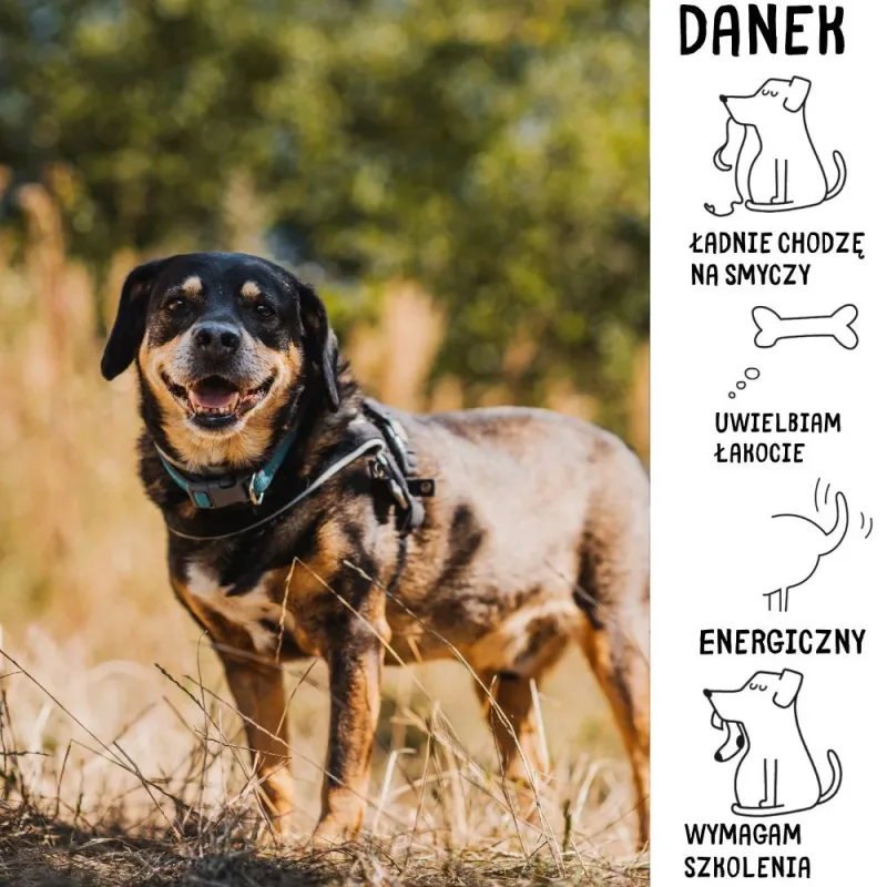 Danek
