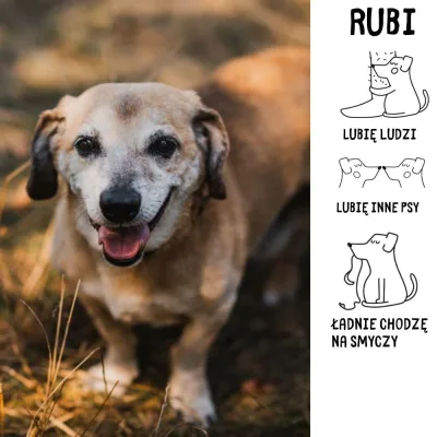 Rubi