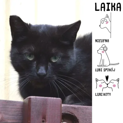 Laika