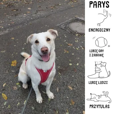 Parys