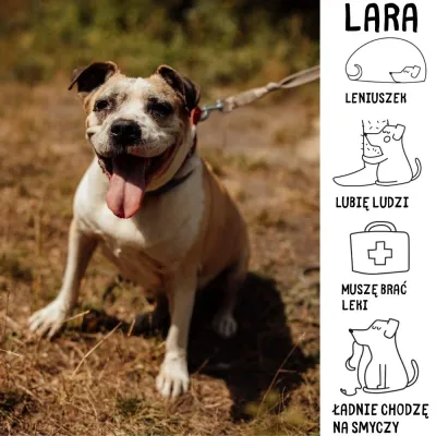 Lara