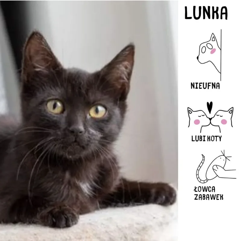 Lunka