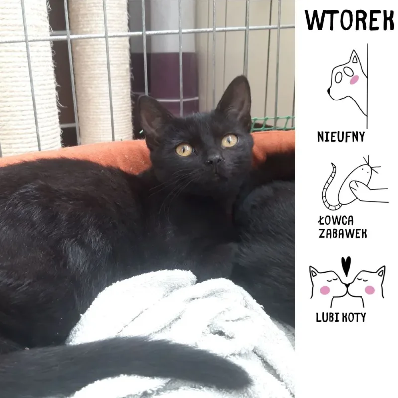 Wtorek