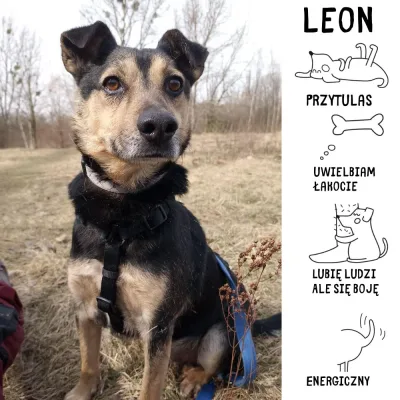 Leon