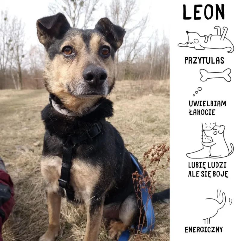 Leon