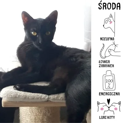 Środa
