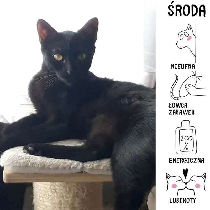 Środa