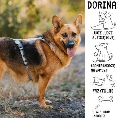 Dorina