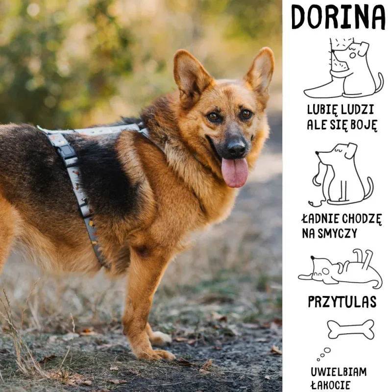 Dorina