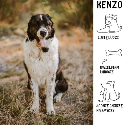 Kenzo