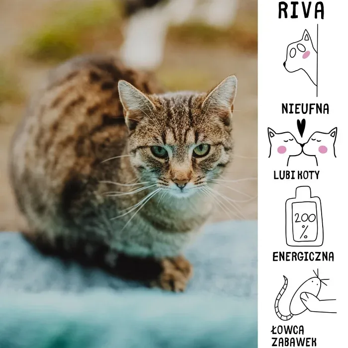 Riva