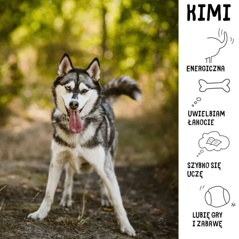 Kimi