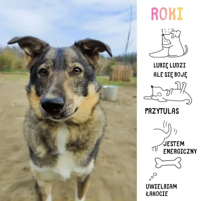 Roki