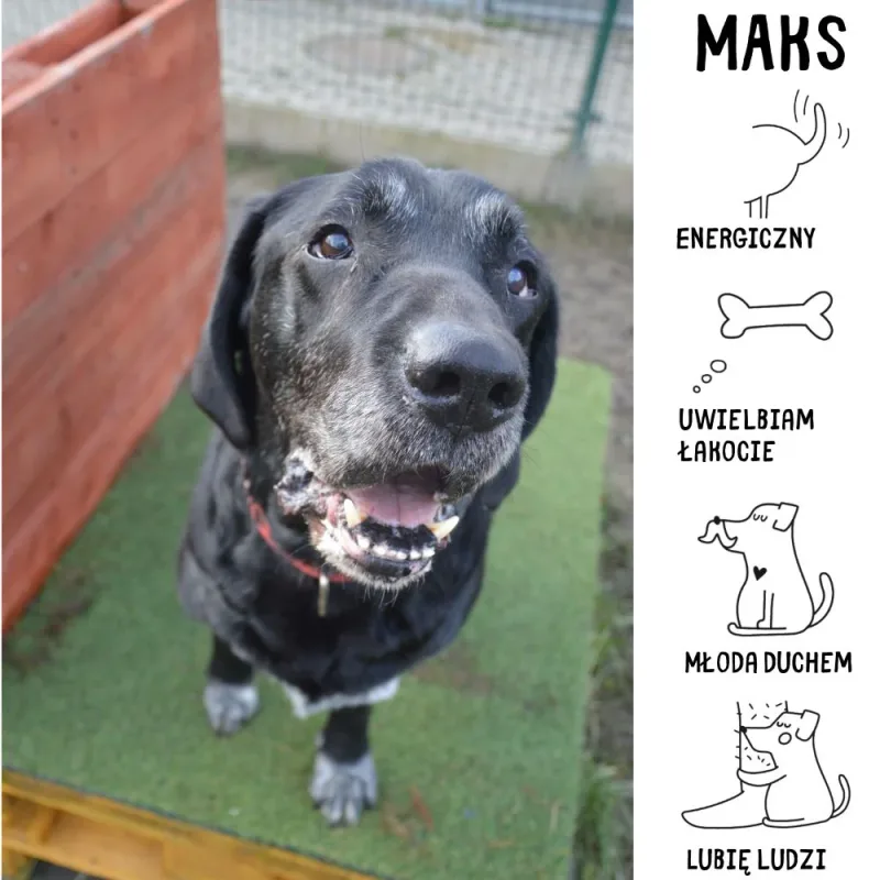 Maks
