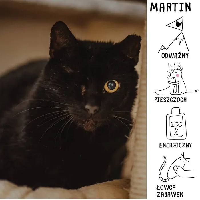 Martin