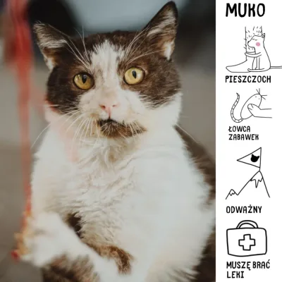 Muko