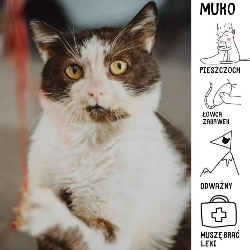 Muko