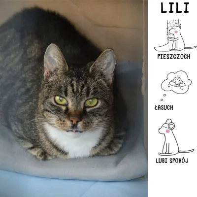 Lili