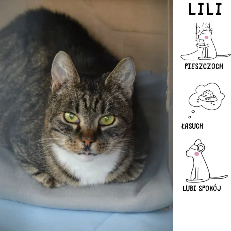 Lili