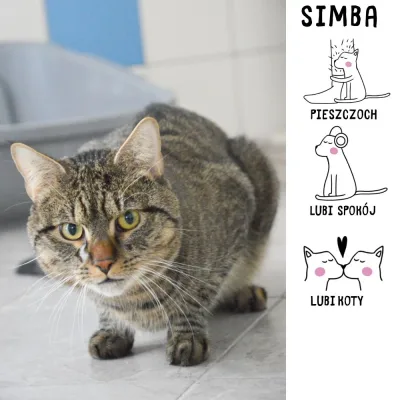 Simba