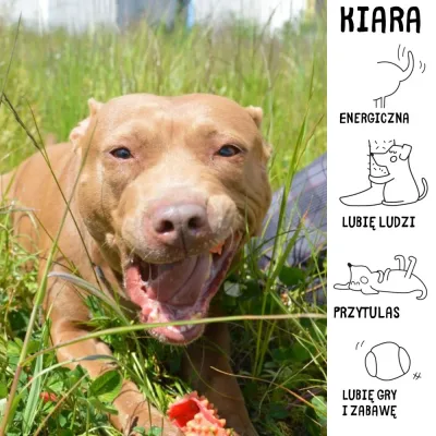 Kiara