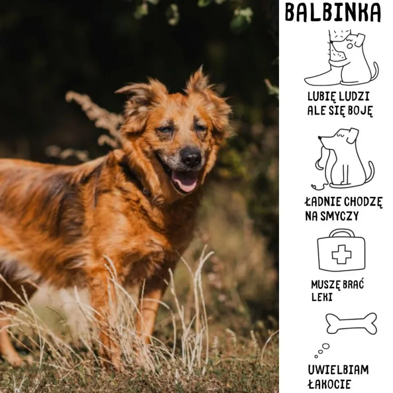 Balbinka