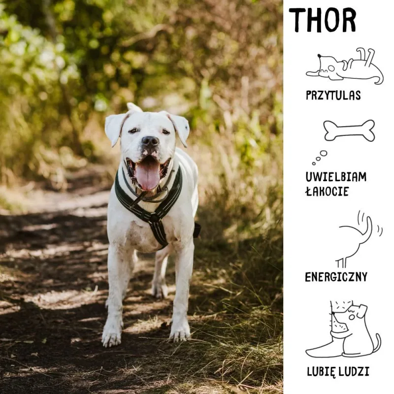 Thor