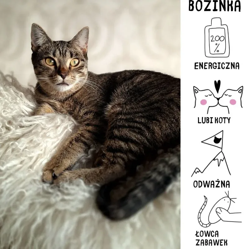 Bozinka