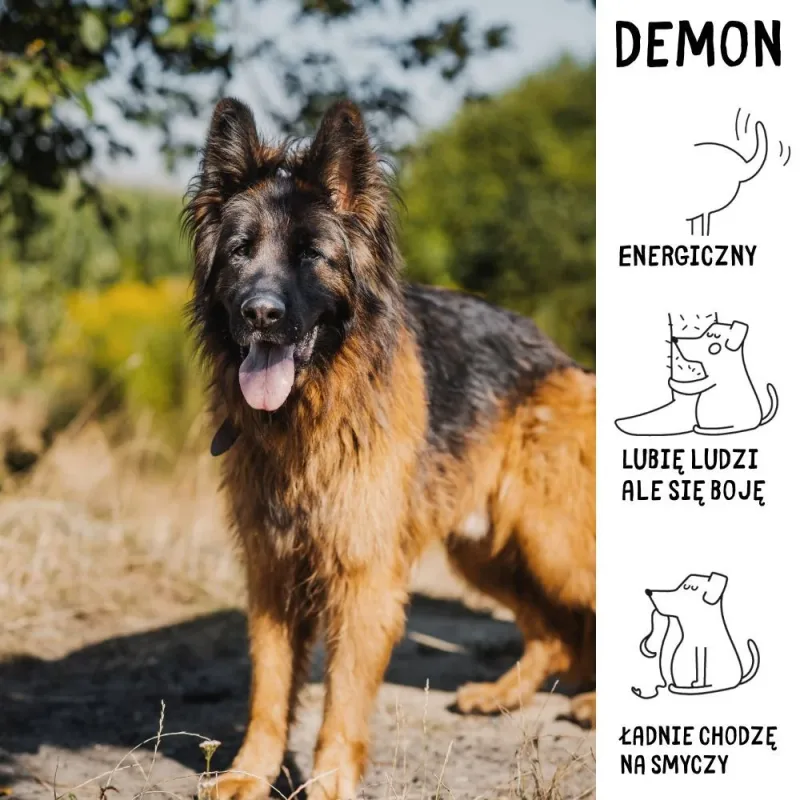 Demon