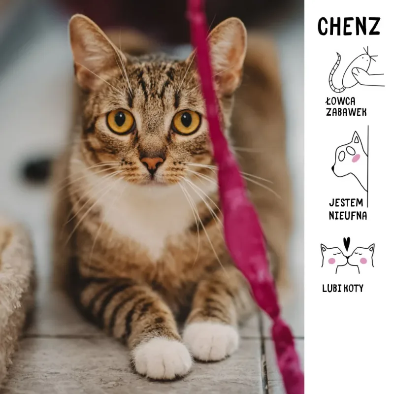 Chenz