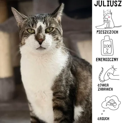 Juliusz