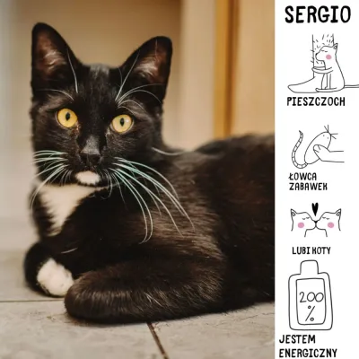 Sergio