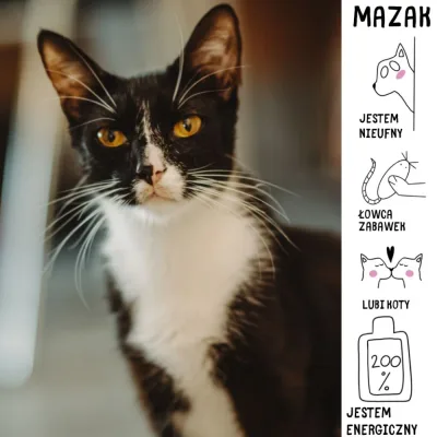 Mazak