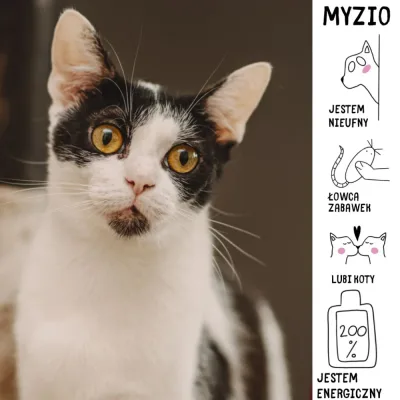 Myzio