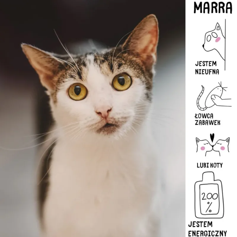 Marra