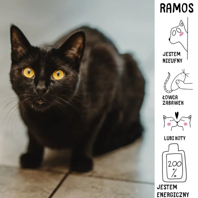 Ramos