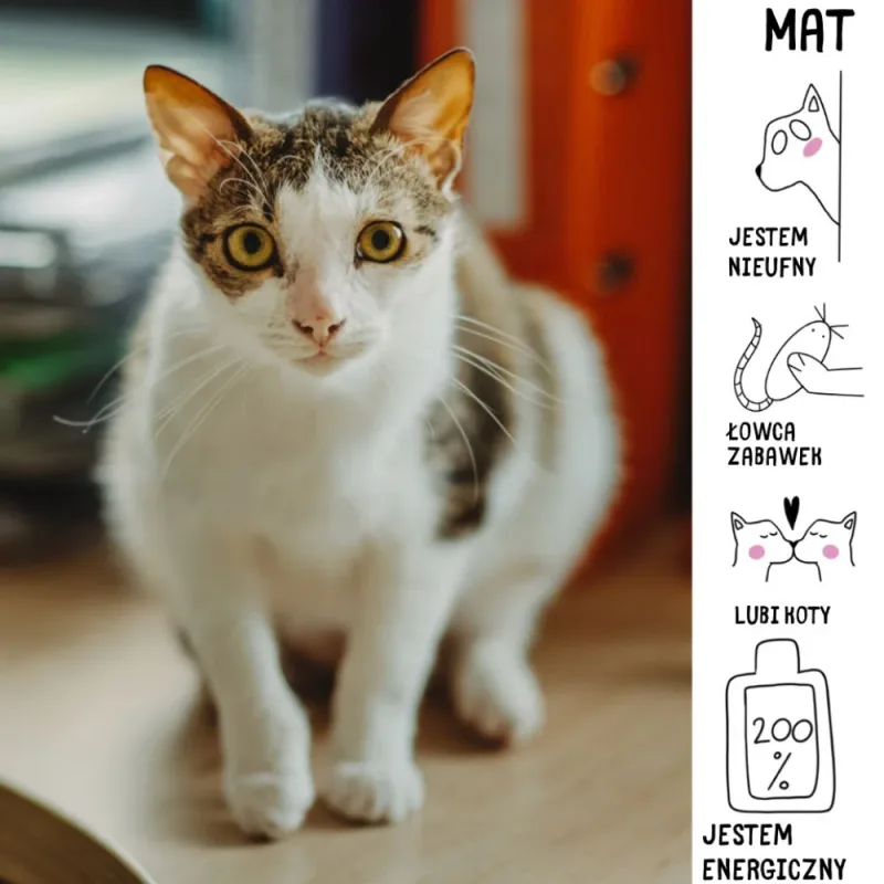 Mat