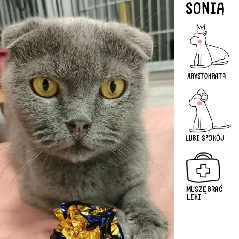 Sonia