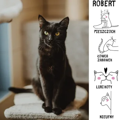 Robert